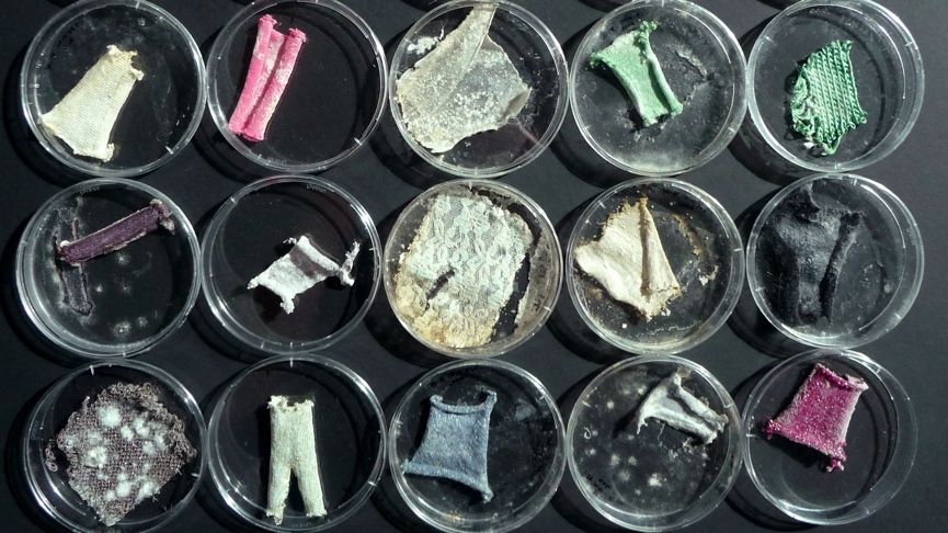 ​The WEAR Sustain startups that are futureproofing sustainable wearables