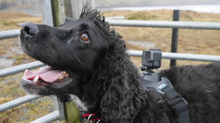 GoPro Hero5 Black review