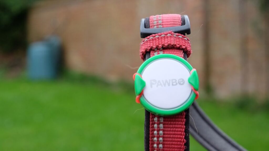 Pawbo iPuppyGo review