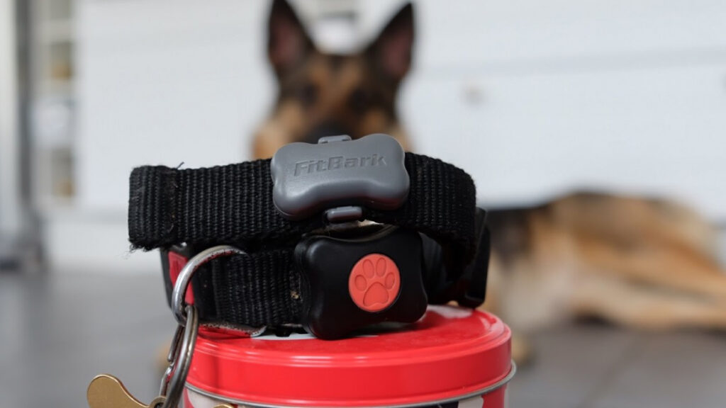 Living with pet wearables: Top trot tracking or barking up the wrong tree?