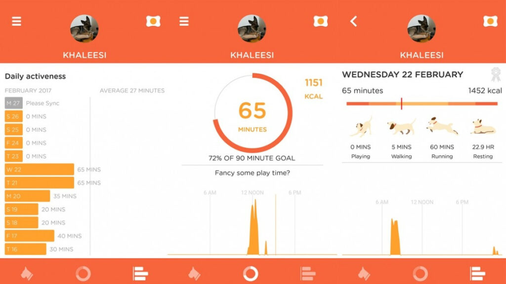 Living with pet wearables: Top trot tracking or barking up the wrong tree?