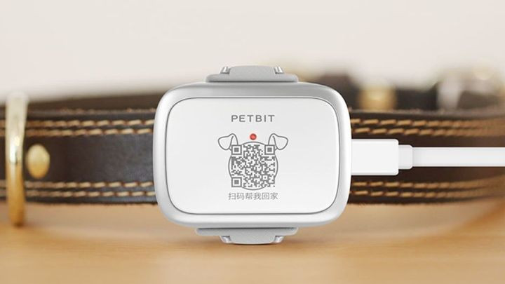 Forget trackers for humans, Xiaomi's PetBit will keep an eye on your pet
