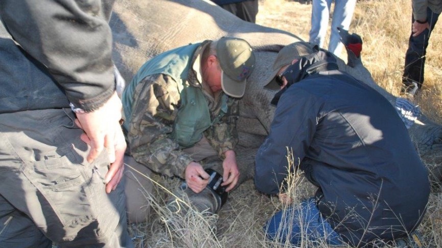 5 cool ways connected data is being used