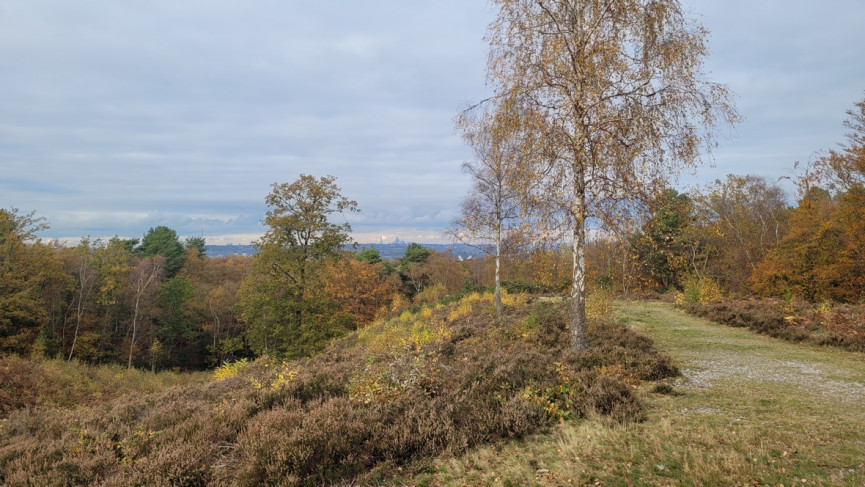 Wristcam review: Snap happy with an Apple Watch smart strap