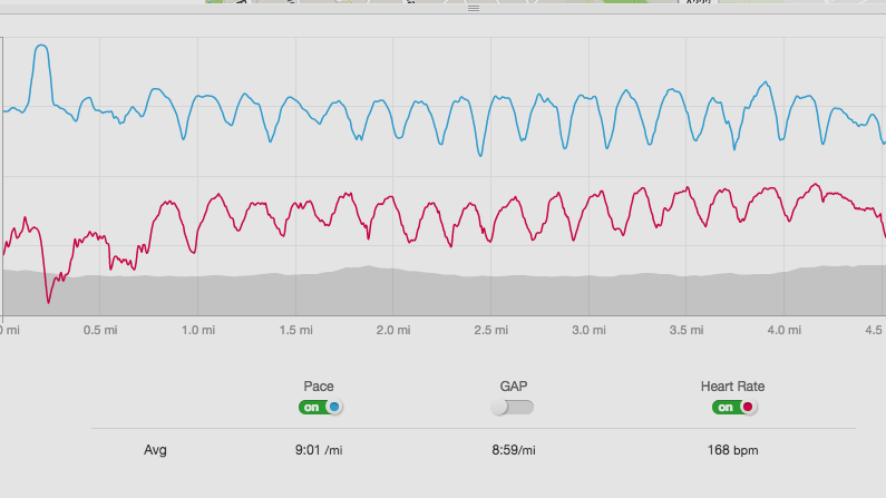 Heart rate training diary week 4: Interval incidents and avoiding over-training