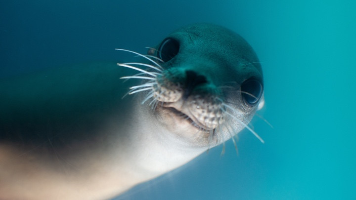 And finally: Samsung Galaxy Watch 2 codename revealed