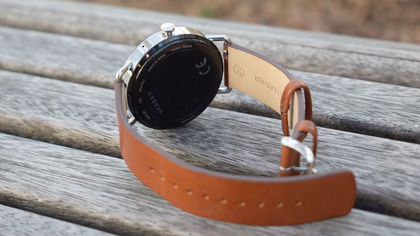 Skagen Falster review