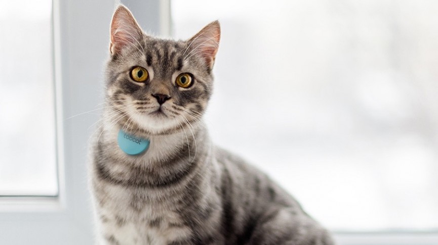 tabcat-1471555642-pxmj-column-width-inline