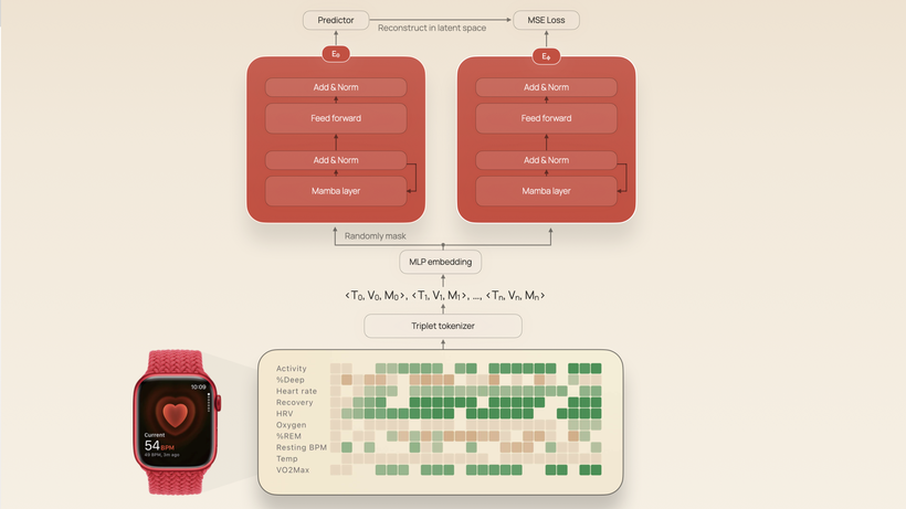 empirical-health-jets-diagram