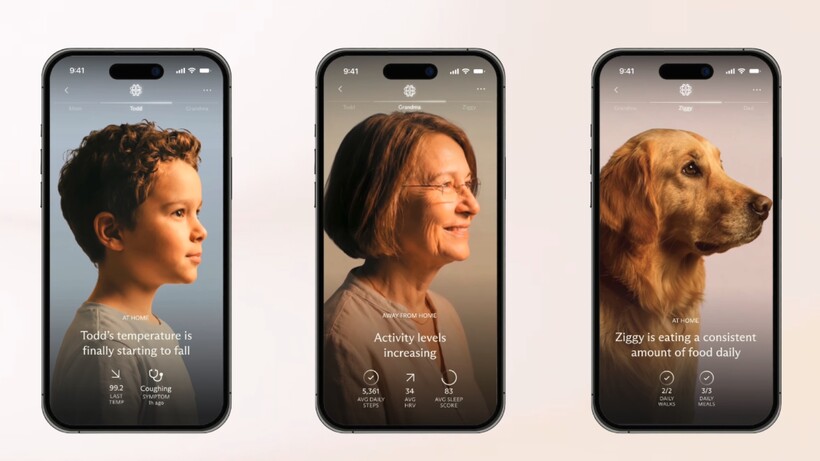 luffu-health-platform-example